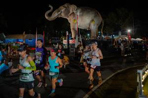 BIB: 
                            <button type="button" onclick="openModal(26552319)" class="btn btn-primary btn-sm float-right btn-popup" data-toggle="modal" data-target=".modal-high-quality">
                        <i class="fas fa-shopping-cart"></i> Add to Cart
                    </button>
                                            <button type="button" onclick="isThisMe(26552319, true)" class="btn btn-success btn-sm float-right btn-popup btn-isme hidden" data-toggle="tooltip" data-placement="bottom" title="นี่คือรูปของคุณใช่ไหม คลิกที่นี่เพื่อเอาเข้าอัลบั้ม">
                        <i class="fas fa-plus"></i> Add to album
                    </button>
                    <button type="button" onclick="isThisMe(26552319, false)" class="btn btn-warning btn-sm float-right btn-popup btn-isnotme hidden">
                        <i class="fas fa-ban"></i> Remove from album
                    </button>